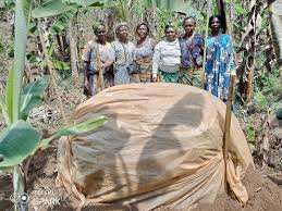 Plus d’actualités